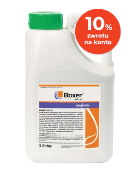 Boxer 800 EC